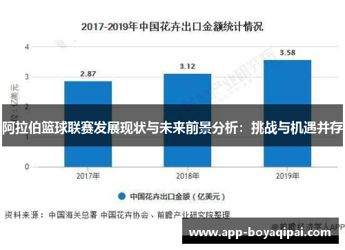 阿拉伯篮球联赛发展现状与未来前景分析：挑战与机遇并存